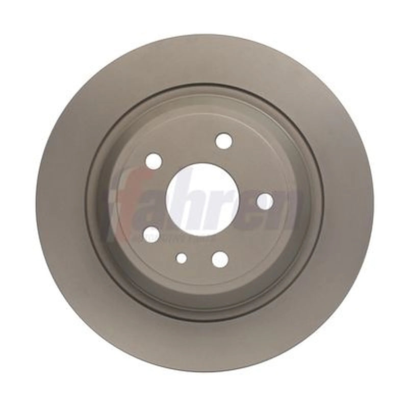 Fahren 2 x Solid Rear Brake Discs FBD6810-x2