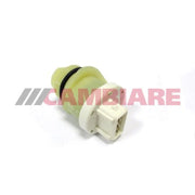 Cambiare Auto Transmission RPM Sensor VE363840