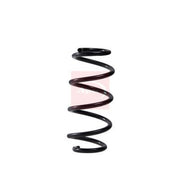 Apec Rear Suspension Coil Spring fits Mini Mini 2013-2017