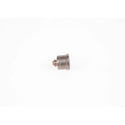 Bosch Engine Control Valve