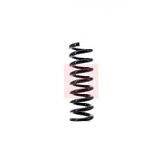 Apec Rear Suspension Coil Spring fits Mercedes-Benz C-Class 2000-2008
