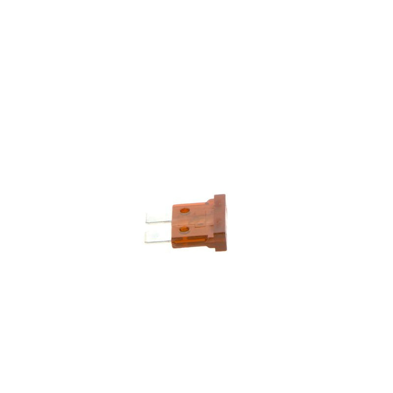 Bosch Automotive Fuse