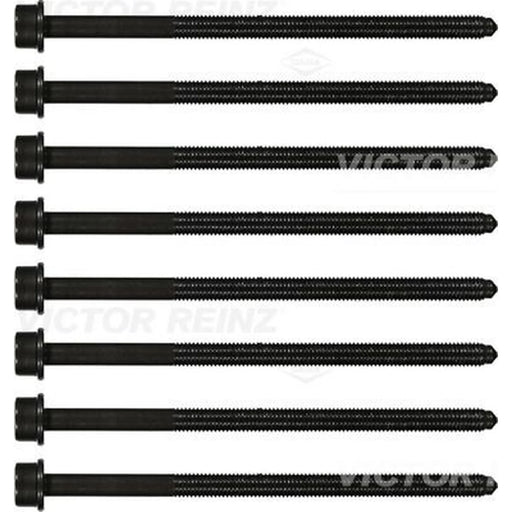 Victor Reinz Cylinder Head Bolt Set M10 14-32382-01