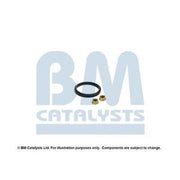 BM Catalysts Fitting Kit FK92291B FK92291B