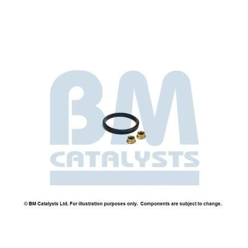 BM Catalysts Fitting Kit FK92291B FK92291B