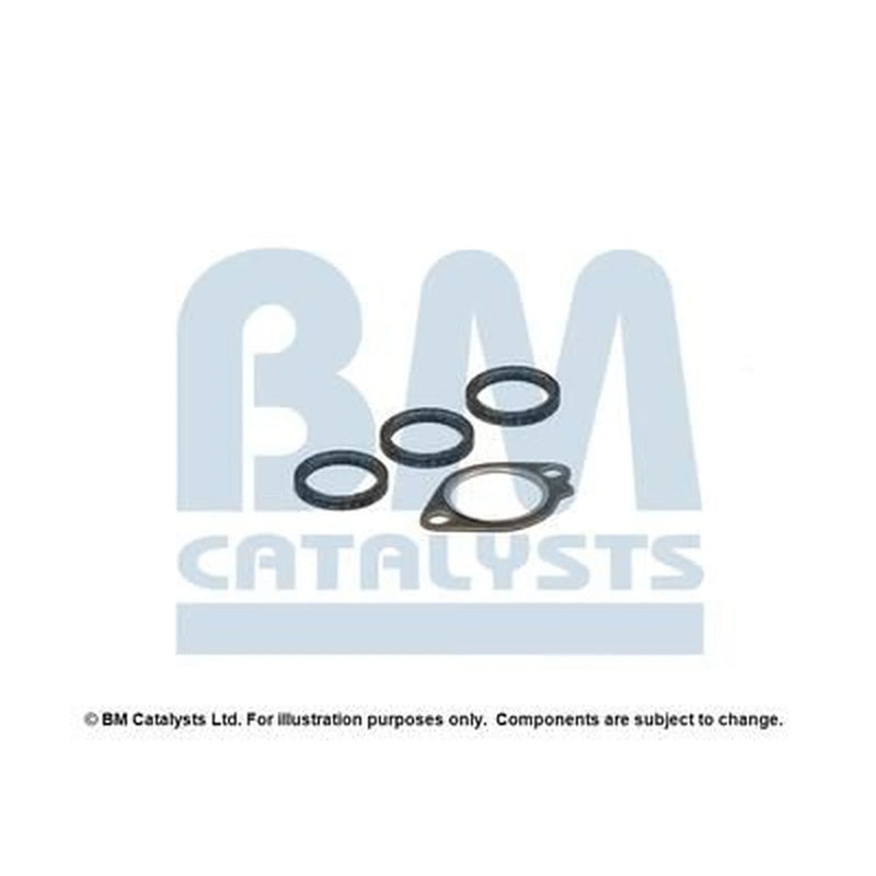 BM Catalysts Fitting Kit FK91349A FK91349A