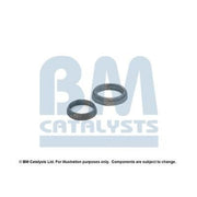 BM Catalysts Fitting Kit FK91297A FK91297A