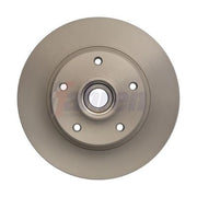 Fahren 2 x Solid Rear Brake Discs FBD6665-x2