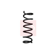 Apec Rear Suspension Coil Spring ACS1817
