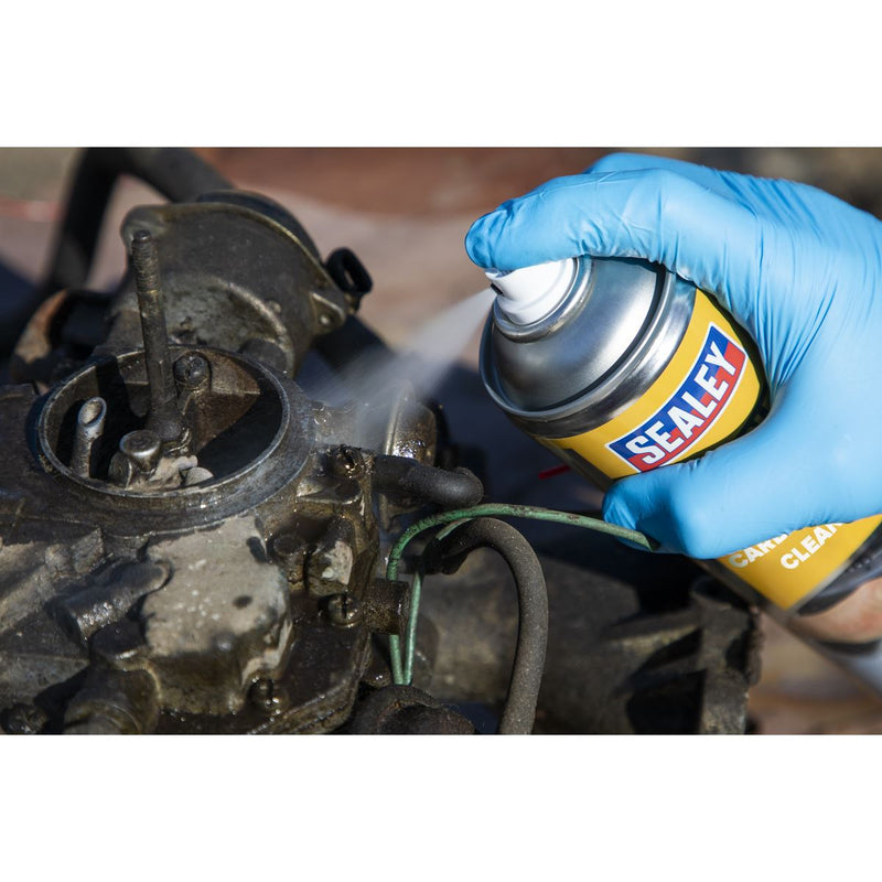 Sealey Throttle Body & Carburettor Cleaner 500ml SCS013S Sealey - Dynamic Drive
