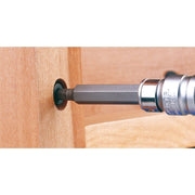 Draper Expert TX-STAR Hex. & Spline Mechanic's Bit Set, 3/8, 1/2" Sq. Dr. (40 Pi Draper - Dynamic Drive