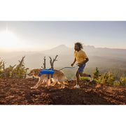 Ruffwear Trail Runner Dog Running Vest in Blue Pool (Medium) Ruffwear - Bars 4 Cars