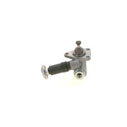 Bosch Fuel Pump Assembly