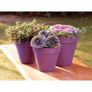 Ronseal Garden Paint Purple Berry 2.5 litre Ronseal - Dynamic Drive