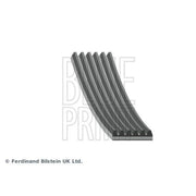 Blue Print Multi V-Ribbed Drive Belt AD06R1212