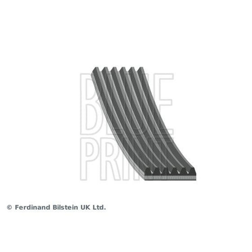 Blue Print Multi V-Ribbed Drive Belt AD06R1206
