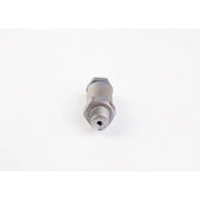 Bosch Fuel Rail Pressure Relief Valve (Common Rail Diesel) 1 110 010 035