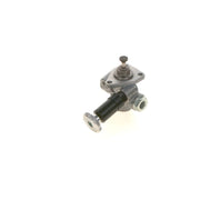 Bosch Fuel Pump Assembly