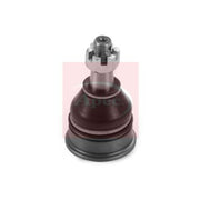 Apec Ball Joint Front Right fits Nissan Pixo 2009 on 1.0