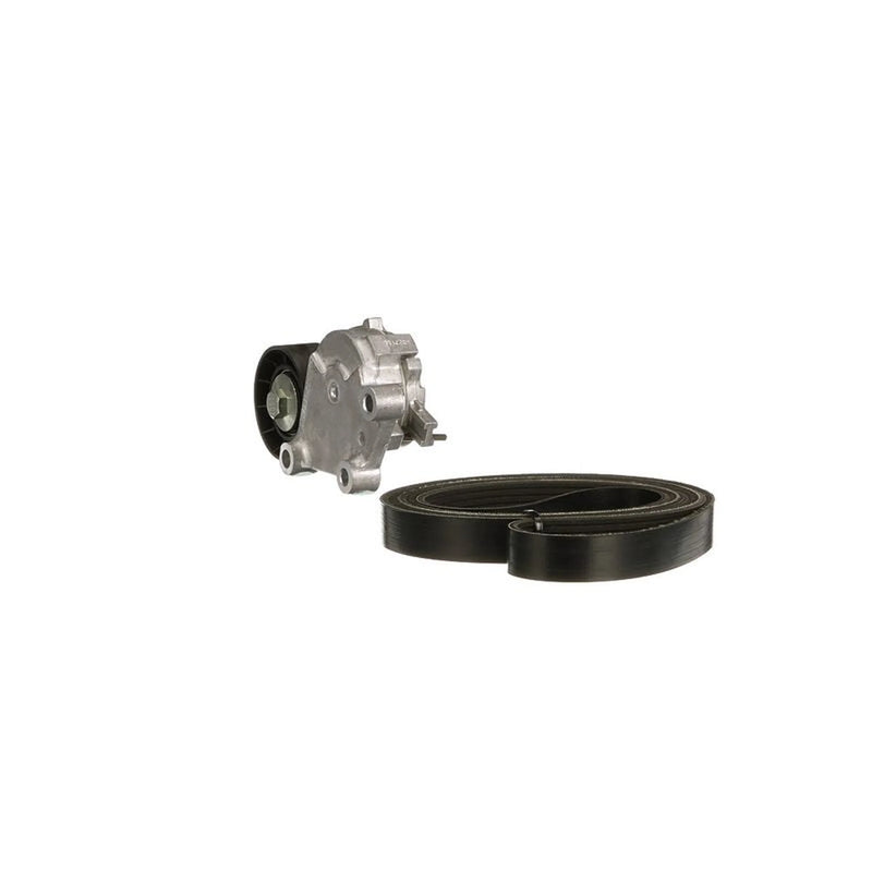 Gates V-Ribbed Belt Set K036PK965