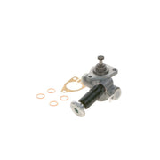 Bosch Fuel Pump Assembly