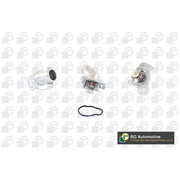 BGA Thermostat,Coolant CT5162