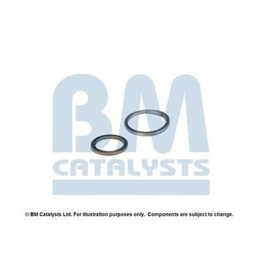 BM Catalysts Fitting Kit FK11579A FK11579A