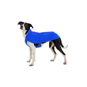 Ruffwear Vert Dog Jacket in Blue Pool (XX Small) Ruffwear - Bars 4 Cars