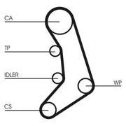 Continental CTAM Timing Belt Cambelt 120 Teeth fits Volvo 940 1990-1998 2.4