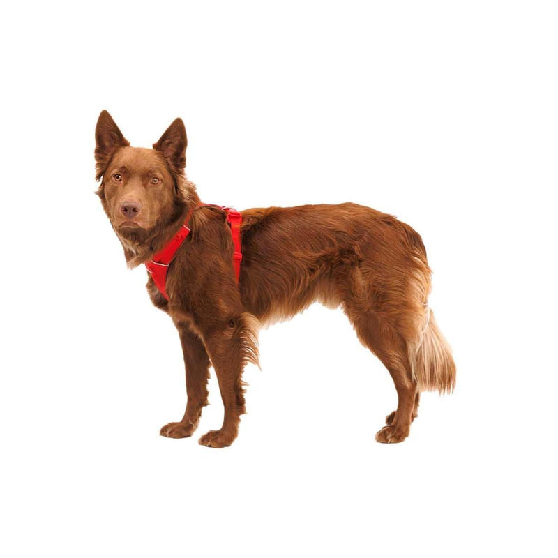 Ruffwear Front Range Dog Harness in Red Canyon (Small) Ruffwear - Dynamic Drive