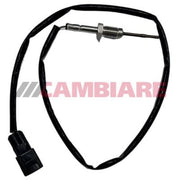 Cambiare Exhaust Gas Temperature Sensor before soot parti VE390506
