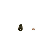 Bosch Fuel Injection Control Valve