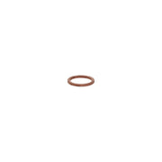 Bosch Sealing Ring Gasket