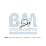 BM Catalysts Fitting Kit FK11411B FK11411B