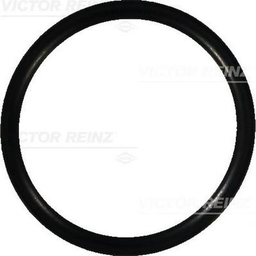Victor Reinz Sealing Ring Gasket 40-76690-00