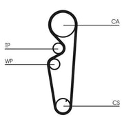 Continental CTAM Timing Belt Kit with Rollers fits Fiat Brava 1995-2001 1.4