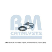 BM Catalysts Fitting Kit FK90394A FK90394A