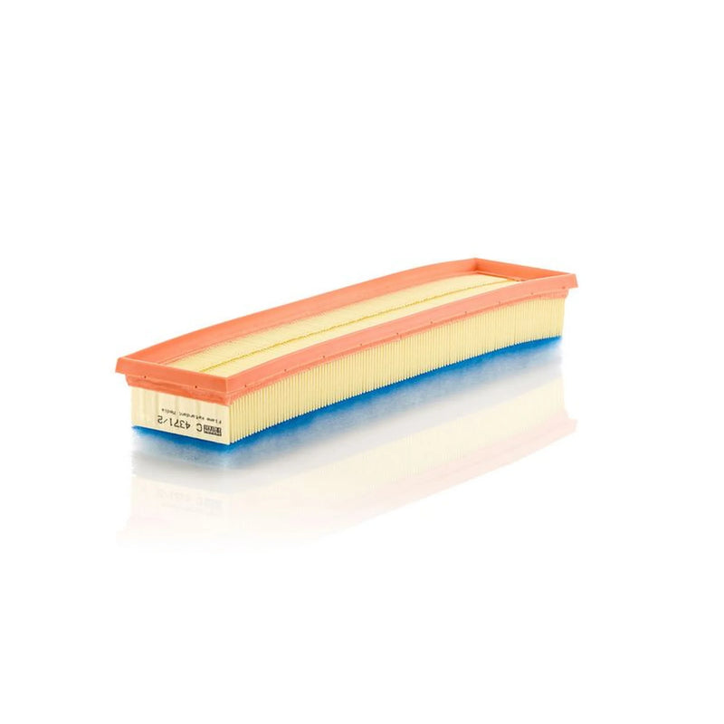 MANN-FILTER Engine Air Filter C 4371/2