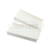 Borg & Beck Cabin Air Filter (Pollen Filter) BFC1176