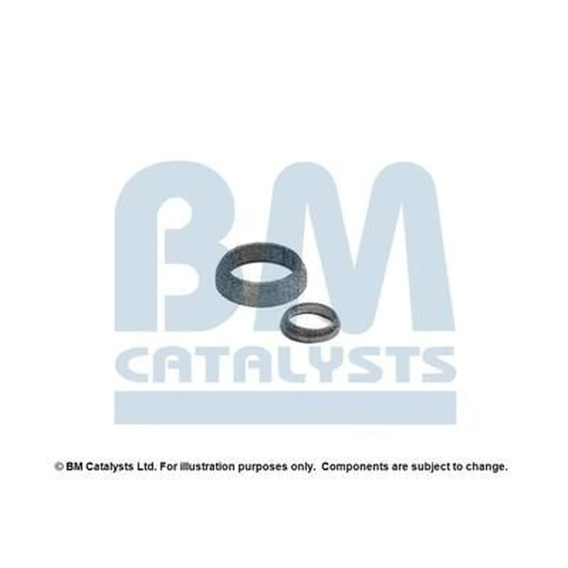 BM Catalysts Fitting Kit FK92202A FK92202A