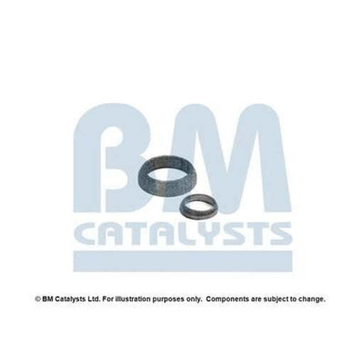 BM Catalysts Fitting Kit FK92091A FK92091A