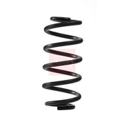Apec Front Suspension Coil Spring fits Audi A4 B6 2000-2005 1.8 2.0