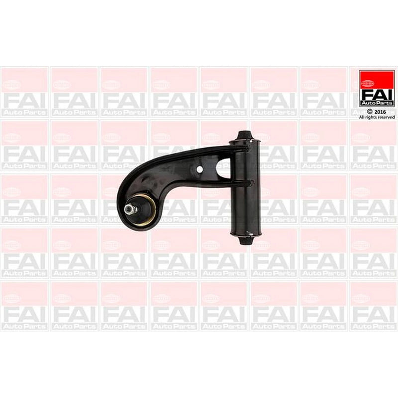 FAI Control/Trailing Arm