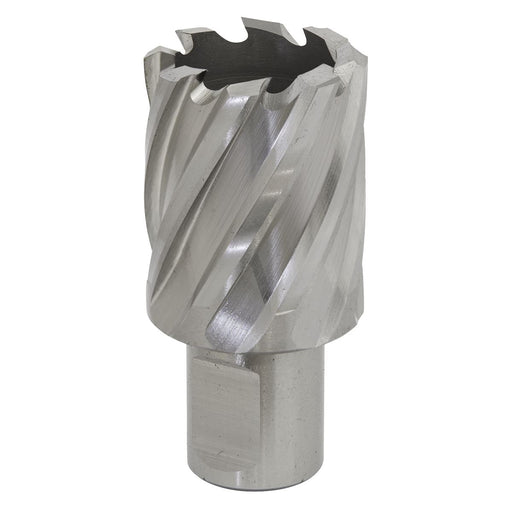Sealey Rotabor Cutter HSS29mm Cut Depth 25mm RBHSS29S Sealey - Dynamic Drive