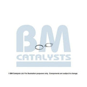BM Catalysts Fitting Kit FK15076A FK15076A