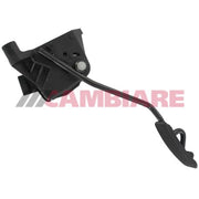Cambiare Accelerator Pedal Position Sensor VE378054