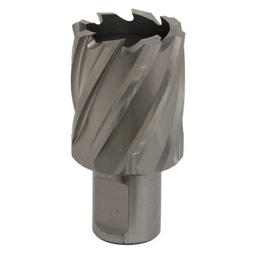 Sealey Rotabor Cutter HSS31mm Cut Depth 25mm RBHSS31S Sealey - Dynamic Drive