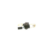 Bosch Fuel Pump Assembly