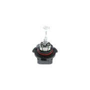 Bosch Eco 9005XS HB3 12V 60W P20D 1 987 302 807