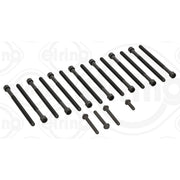 Elring Cylinder Head Bolt Set 702.230